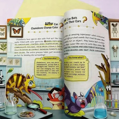 Children’s Encyclopedia Why 100,000? Kids Book Ages 6-12 Extracurricular Read TL