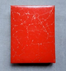 The Good Fortune Birthday Book by Samuel Ward—Boston Pocket Hard Cover MINT