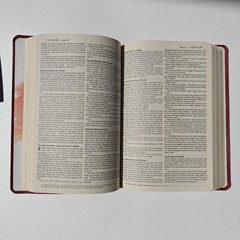 Holy Bible New Living Translation Tyndale Red Letter 1997