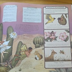 Folklore Field Guides: A Natural History of Fairies by Emily Hawkins