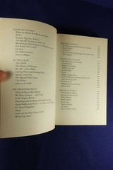 THE SIXTIES Eoin Cameron AN IRREVERENT GUIDE 1960s AUSTRALIA NOSTALGIA Book