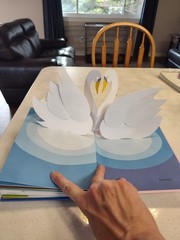 Love: A Pop-up Celebration by Robert Sabuda Hardcover Book