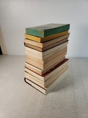 English Novelists (15 Books) D.H. Lawrence, Thomas Hardy, E.M. Forster Paperback