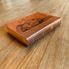 Personalized KJV Study Bible, Son of a King Lion Design, Custom Name Engraved