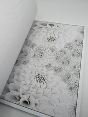 Abstract Challenge-2 Grayscale Coloring Book for Adults: 44 Coloring Pages