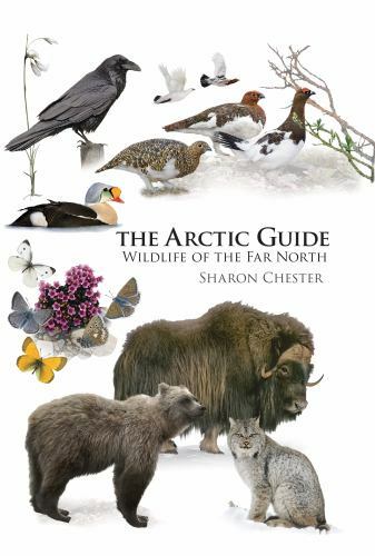 Arctic Guide: Wildlife of the Far North by Chester, Sharon, flexibound, Used –