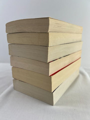 Lot of 6 Mystery Themed Novels Paperbacks Mixed Titles from Bantam Books
