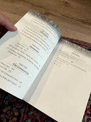 Drawing down the Spirits : The Traditions and Techniques of Spirit Possession by