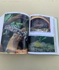 Atlas of Freshwater & Marine Catfishes. Warren Burgess. 1700 color photos. HC