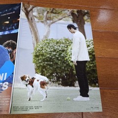 Weekly Josei October 21st and 28th 2025 issue special supplement: Best p #QY6V8F