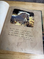 Horses of the Sun by Robert Vavra (1995, Hardcover) Signed By The Author