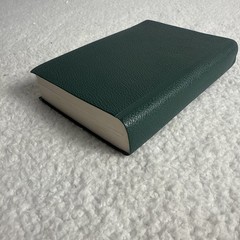 Russian Bible Small. Green Faux Leather Bound. Text Entirely In Russian 6x4x1”