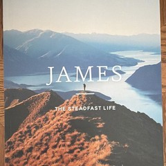 The Daily Grace Co. James: The Steadfast Life Schmucker PB 2017 Study Guide