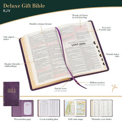 KJV Holy Bible, Standard Size Faux Leather Red Letter Edition Thumb Index & Ribb