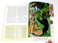 National Geographic August 1963 First Jane Goodall Issue Magic Walt Disney & Map