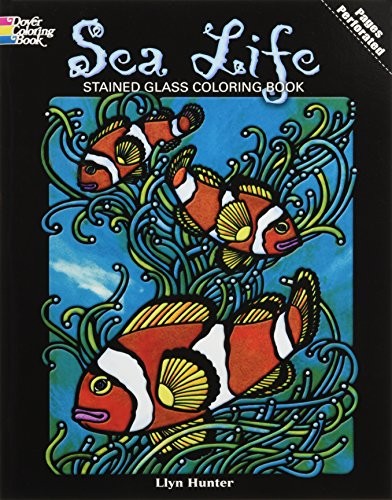 SEA LIFE STAINED GLASS COLORING BOOK (DOVER NATURE STAINED By Llyn Hunter *VG+*