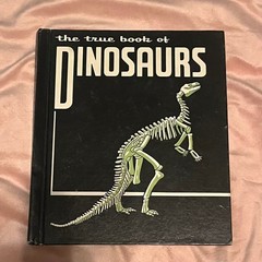 Fun 7 picture book set, K-2, animals, dinosaurs! Steig, Lionni, Eastman lot