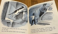 JOEY’S CAT : by Robert Burch : illus Don Freeman : vintage