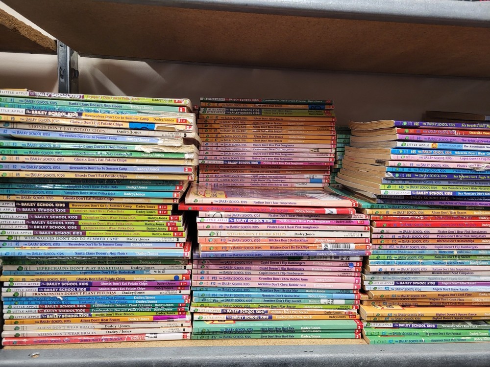 Bailey School Kids – Choose Your Own Books Set