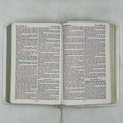 Collins Genuine White French Morocco Leather Red Letter Concordance Bible W/ Box