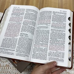 NIV Large print Reference Bible – 12 point font – Red letter – Thumb-indexed