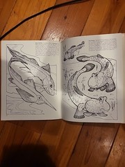 Strange Creatures of the Sea Coloring Book by Llyn Hunter (1991, Trade…