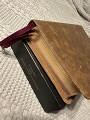 Schuyler ESV Stridon Bible – Desert Camel Calfskin Leather