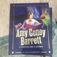 Heroes of Liberty Hardcover Illustrated Biographies Ages 9-12