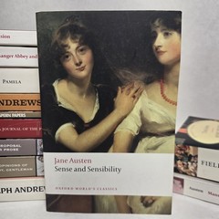 Classic Literature Paperback Lot Austen Defoe Fielding Swift Sterne Richardson H