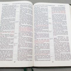 Rare Kenneth Hagin Ministries Rhema KJV Study Bible Calfskin Green by Cambridge