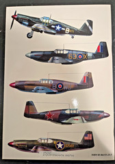 P-51 P-51A A-36 MUSTANG – Seria Pod Lupa #1 – Polish w/English Summary