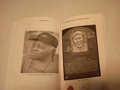 The Real Story of The Negro Leagues Paperback Wayne Moody