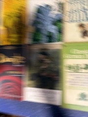 Lot of 38 Classic Paperback Literature Book Mix Signet Bantam Dante Dickens…