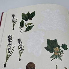 [80% Full] The Forests, Fairies and Fungi Sticker Anthology Book 1,000+ Stickers