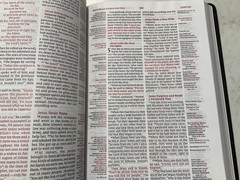 NIV Thompson Chain Reference Bible 2022 Large Print Black Bonded Leather
