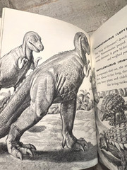 Dinosaurs by Herbert S. Zim Illus. by James Gordon Irving c.1976 Library Edition
