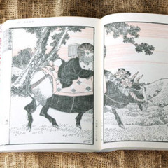 Hokusai Katsushika Manga Box Set 3 Volumes Remake Complete Edition Japanese Art