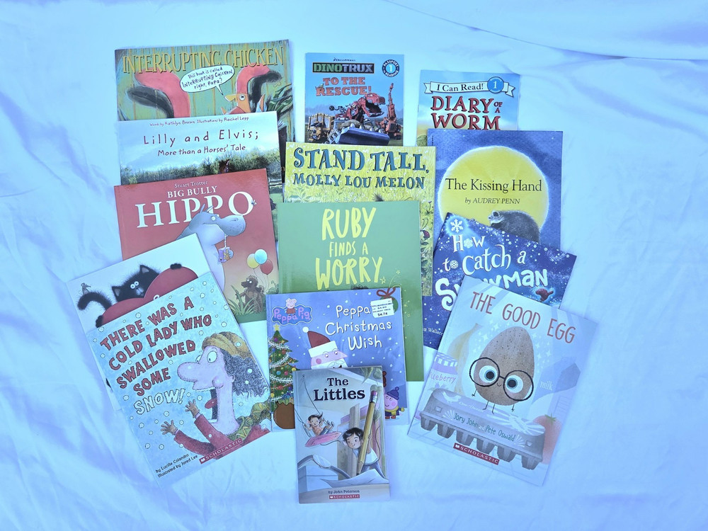 Lot of 14 Kids Books Ages 2-8 years. Variety of Books