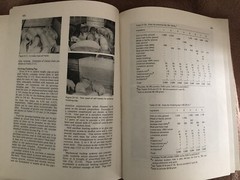 Livestock Feeds and Feeding – 1984 Paperback