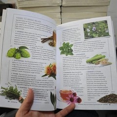 Sustain Me Book – Barbara O’Neill’s New Book Sealed In Hand – Free shipping USA