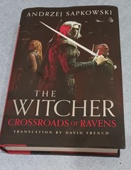 witcher books 1 thru 9