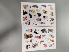 Animal Antics First Grade Reader Box Set: Scholastic Box or Slipcased
