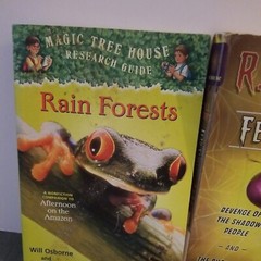 Lot of 10 Mixed Random Children’s Books and Young Adult Novels, Classic Stories