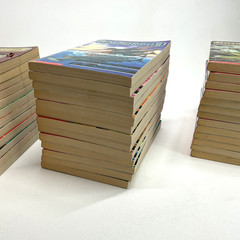 Animorphs Books Lot 42 Vintage Series Set & Megamorphs Applegate 90s Scholastic