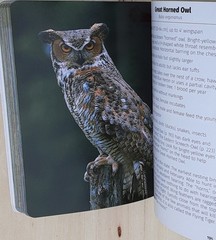 Birds of Kentucky Field Guide by Stan Tekiela 2022 Illustrated Paperback Book