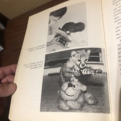 ‘OUR CAPTIVE ANIMALS’- J.J. McCOY-1971-RARE 1ST EDITION HC/DJ- EXOTIC & DOMESTIC