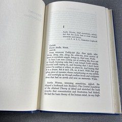 Transfigurations Bishop & Beyond Rejection Leiber 2 Vintage Hardcover Book