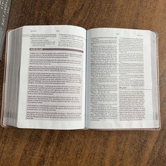 Amplified Joyce Meyer Everyday Life Study Bible – Blush LeatherLuxe