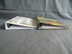 2002 Morris Press Cookbooks Lot of 2, A Taste of Heaven, Albers-Markwardt Family