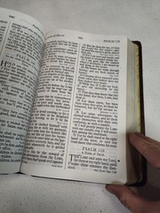 Holy Bible King James Version Giant Print Red Letter Concordance Nelson 883CBG